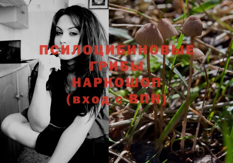 OMG ссылки  Владикавказ  Галлюциногенные грибы MAGIC MUSHROOMS  где купить наркоту 